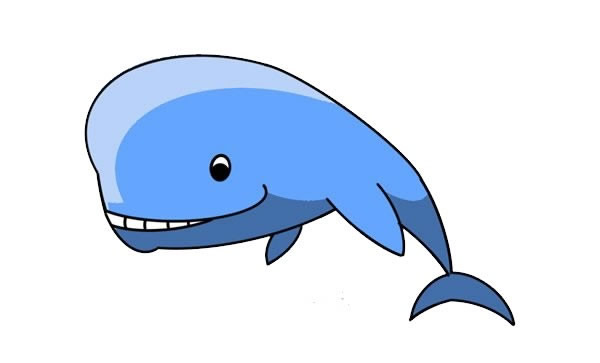漂亮的抹香鲸简笔画