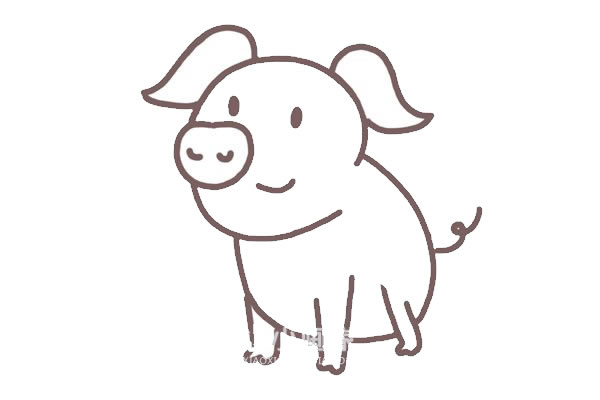 小猪简笔画教程