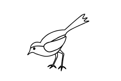 一组喜鹊简笔画图片大全(简笔画)