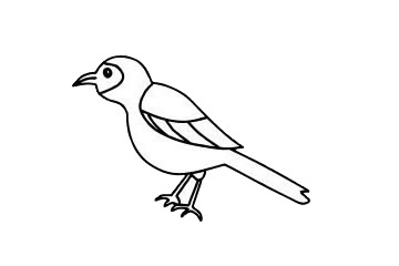 一组喜鹊简笔画图片大全