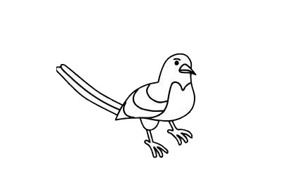 一组喜鹊简笔画图片大全