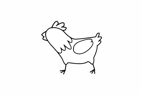 公鸡简笔画步骤教程