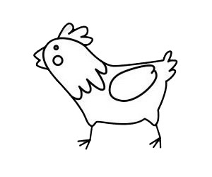 公鸡简笔画步骤教程