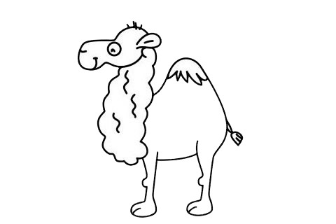一组关于骆驼的简笔画大全(一组关于骆驼的简笔画)