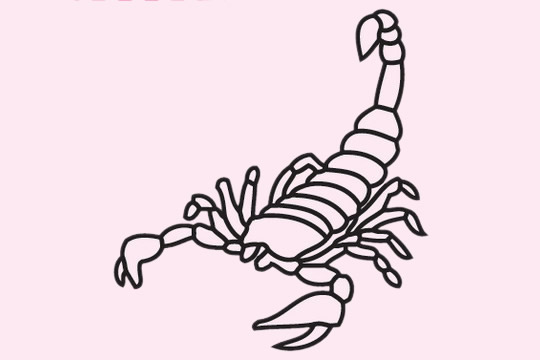几款不同的蝎子简笔画