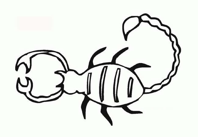蝎子儿童简笔画