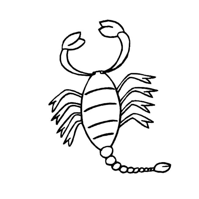 一看就会的蝎子简笔画