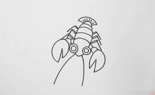 龙虾怎么画简单又好看 龙虾怎么画简单又好看