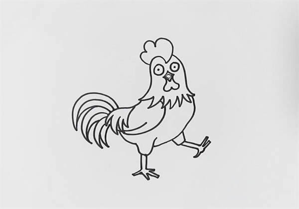 彩色的大公鸡简笔画