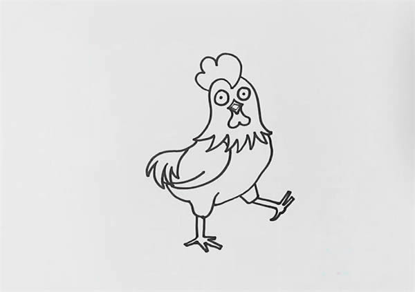 彩色的大公鸡简笔画