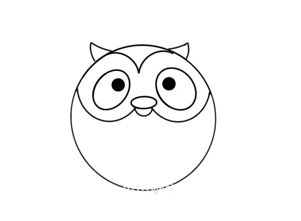 圆鼓鼓的猫头鹰简笔画