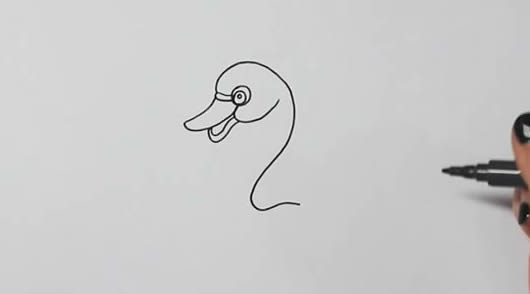 浮在水面的天鹅简笔画