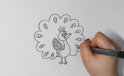 开屏的孔雀简笔画