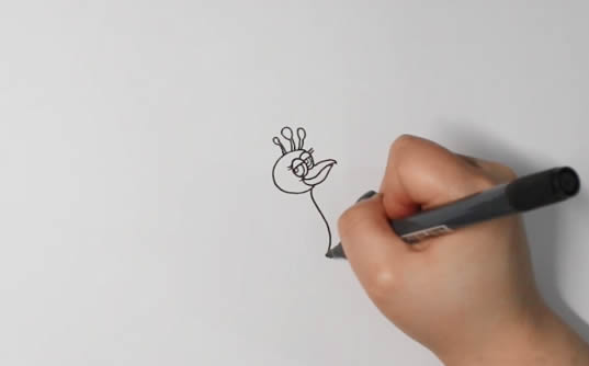 开屏的孔雀简笔画