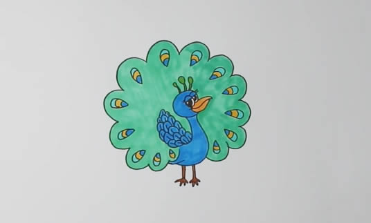 开屏的孔雀简笔画