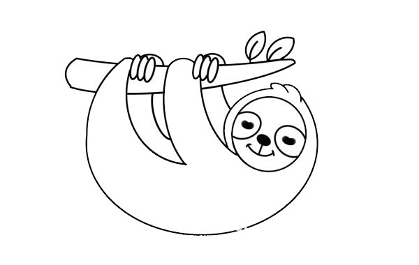 挂在树枝上的树懒简笔画 挂在树枝上的树懒简笔画