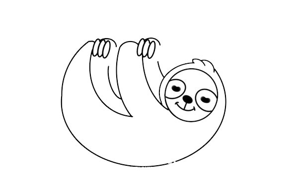 挂在树枝上的树懒简笔画 挂在树枝上的树懒简笔画