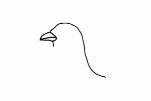 大公鸡简笔画详细步骤