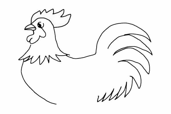 大公鸡简笔画详细步骤