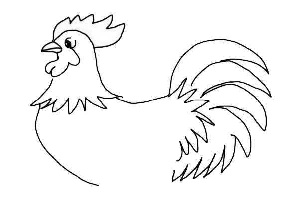 大公鸡简笔画详细步骤