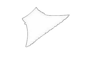 戴着蝴蝶结的鸭子简笔画(戴着一个蝴蝶结)