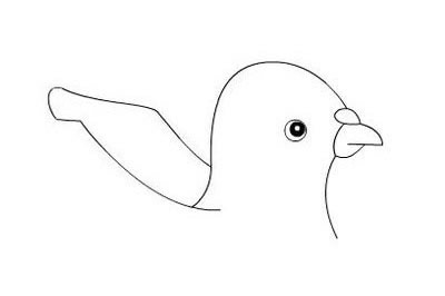 关于和平鸽的简笔画