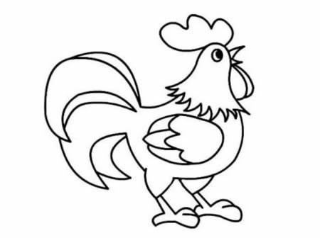 分享一组大公鸡的简笔画(分享一组大公鸡的故事作文)