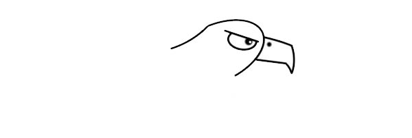 关于老鹰的简笔画教程 关于老鹰的简笔画教程