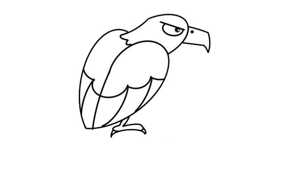 关于老鹰的简笔画教程 关于老鹰的简笔画教程
