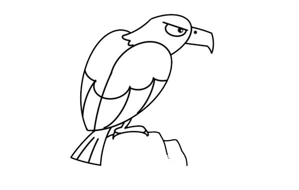 关于老鹰的简笔画教程 关于老鹰的简笔画教程