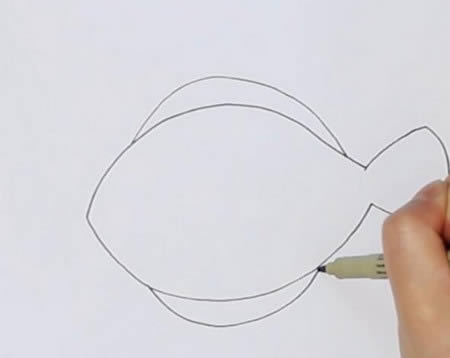 多宝鱼简笔画怎么画带涂色 多宝鱼简笔画怎么画带涂色