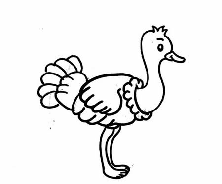 鸵鸟简笔画怎么画简单又好看