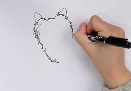 可爱的蝴蝶犬简笔画步骤 可爱的蝴蝶犬简笔画步骤