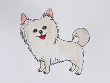 可爱的蝴蝶犬简笔画步骤 可爱的蝴蝶犬简笔画步骤