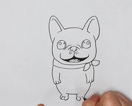 法国斗牛犬简笔画步骤 法国斗牛犬简笔画步骤