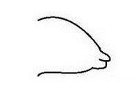 小老鼠简笔画怎么画简单又好看 小老鼠简笔画怎么画简单又好看