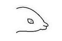 小老鼠简笔画怎么画简单又好看 小老鼠简笔画怎么画简单又好看