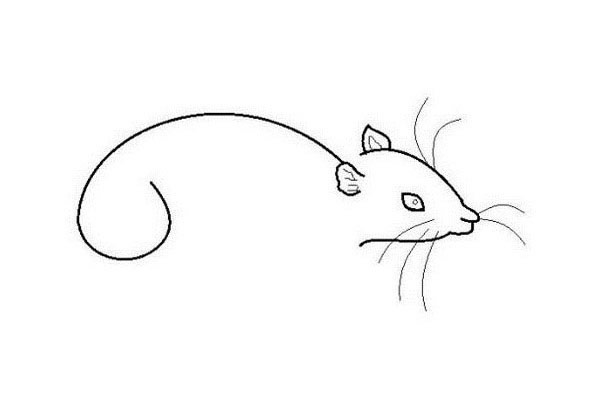 小老鼠简笔画怎么画简单又好看 小老鼠简笔画怎么画简单又好看