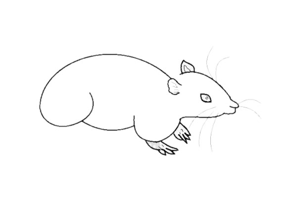 小老鼠简笔画怎么画简单又好看 小老鼠简笔画怎么画简单又好看