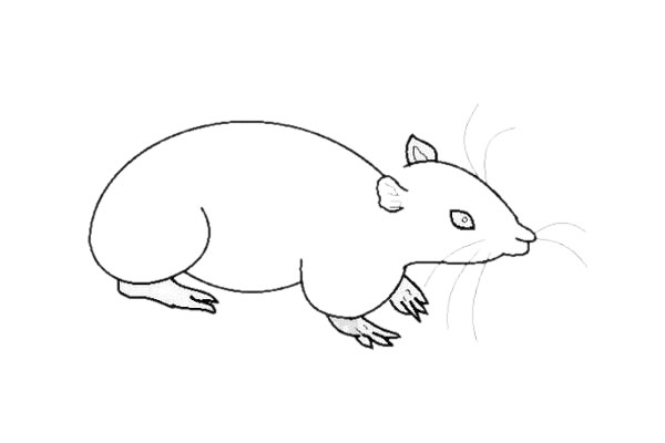 小老鼠简笔画怎么画简单又好看 小老鼠简笔画怎么画简单又好看