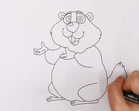 可爱的土拨鼠简笔画教程 可爱的土拨鼠简笔画教程