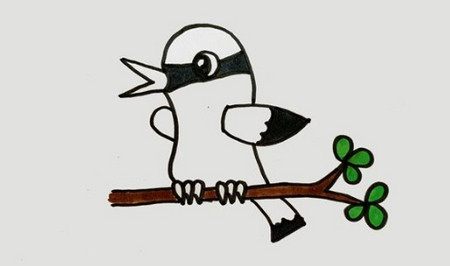 黄鹂鸟简笔画怎么画简单又漂亮