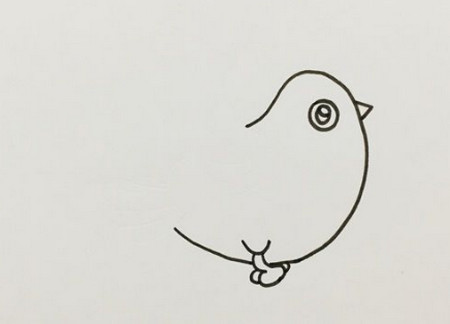 非常简单的白鸽简笔画