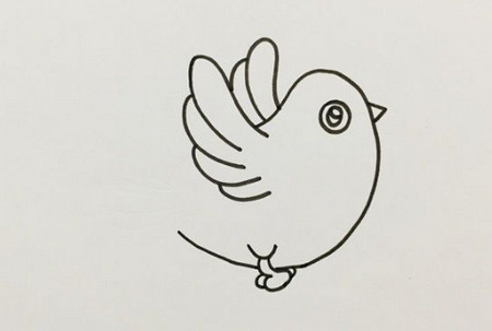 非常简单的白鸽简笔画