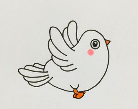 非常简单的白鸽简笔画