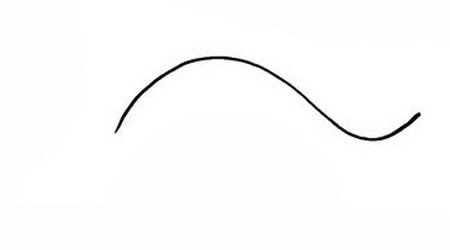 萌萌哒鲸鱼简笔画详细步骤 萌萌哒鲸鱼简笔画详细步骤