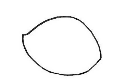 条纹鱼简笔画怎么画 条纹鱼简笔画怎么画