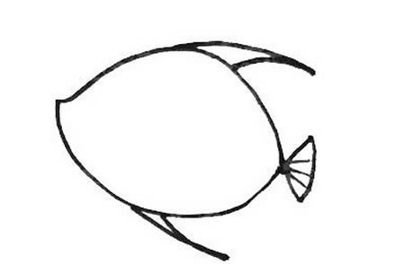 条纹鱼简笔画怎么画 条纹鱼简笔画怎么画