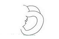 可爱花栗鼠简笔画教程 可爱花栗鼠简笔画教程