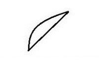 吃虫子的啄木鸟简笔画步骤